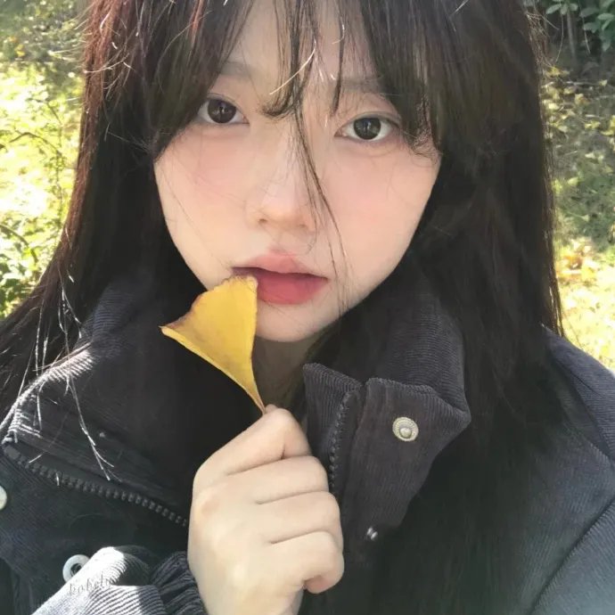 记忆女神的女儿们